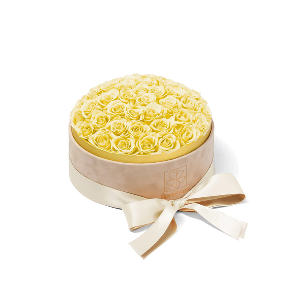 Floragram cream preserved roses close-up — luxury forever roses Canada