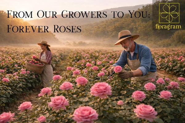 Why Preserved Roses Are the Most Sustainable Gift in Canada | Floragram