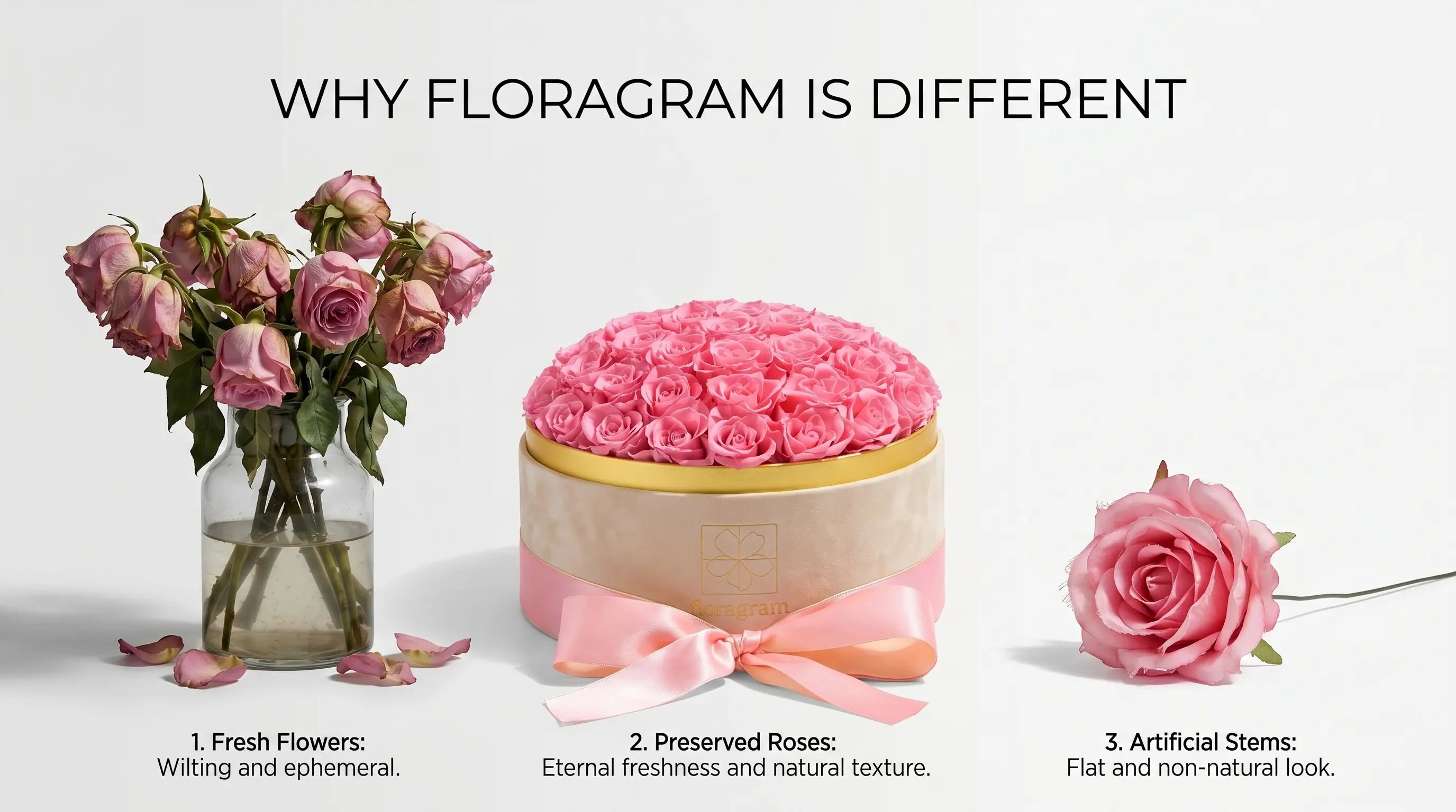 5 Reasons Floragram Roses Are Different From Every Florist in Canada