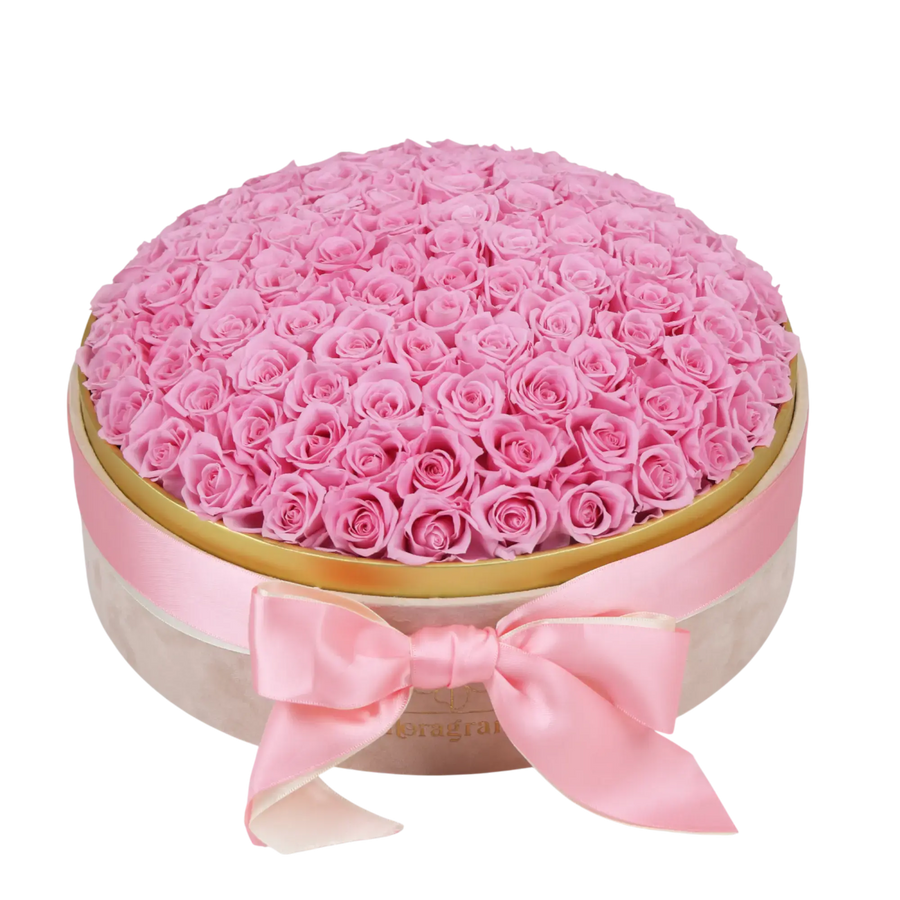 Couple gifting Floragram 100 pink preserved roses — romantic gift Canada