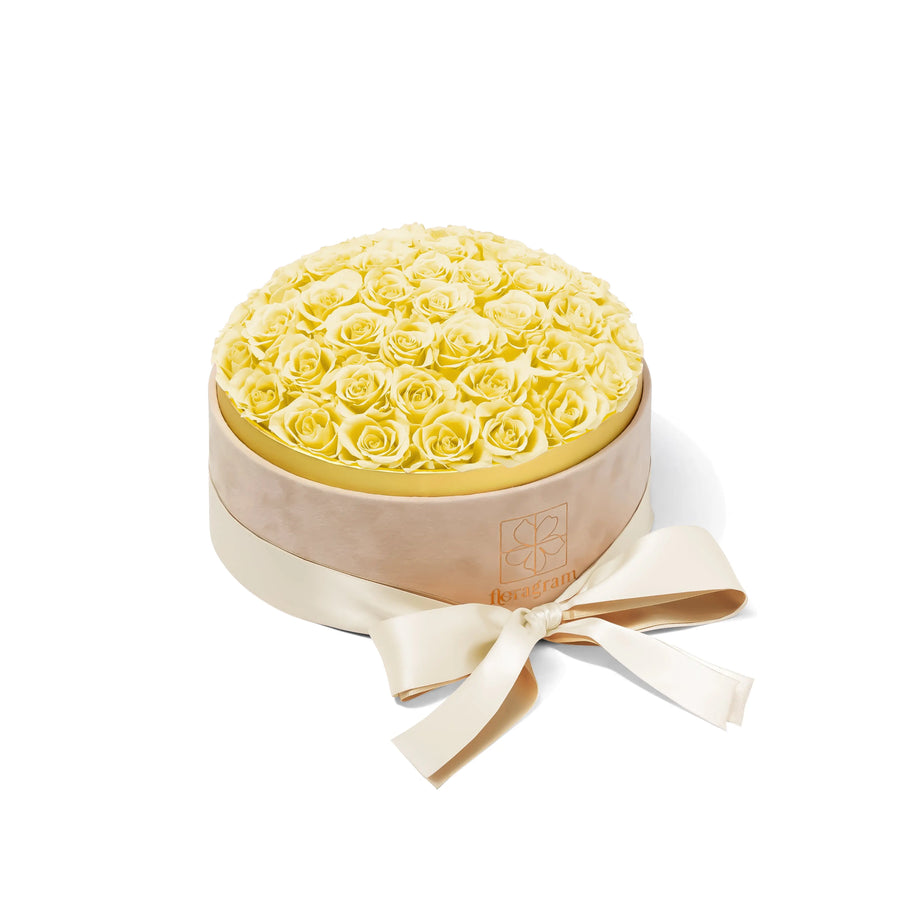 Floragram cream preserved roses close-up — luxury forever roses Canada