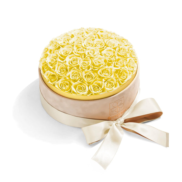 50 cream preserved roses in luxury velvet gift box — Floragram Canada