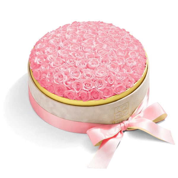 100 mini pink preserved roses in luxury velvet gift box — Floragram Canada