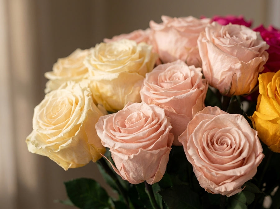 Long Stem Forever Roses Floragram