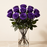 Twelve purple long stem preserved roses arranged in a clear glass vase