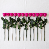 Fuchsia long stem preserved roses laid flat in a row on linen