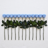 Twelve blue long stem preserved roses laid flat in a row on linen