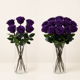Purple long stem preserved roses arranged in a glass vase
