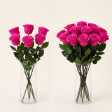 Fuchsia long stem preserved roses arranged in a glass vase